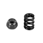 L5039 Slipper Spring & Nut